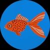 lilgoldfish